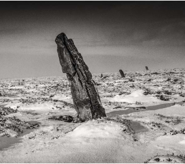 Goathland Moor